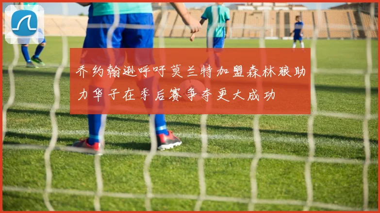 乔约翰逊呼吁莫兰特加盟森林狼助力华子在季后赛争夺更大成功