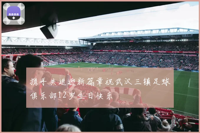 携手共进迎新篇章祝武汉三镇足球俱乐部12岁生日快乐