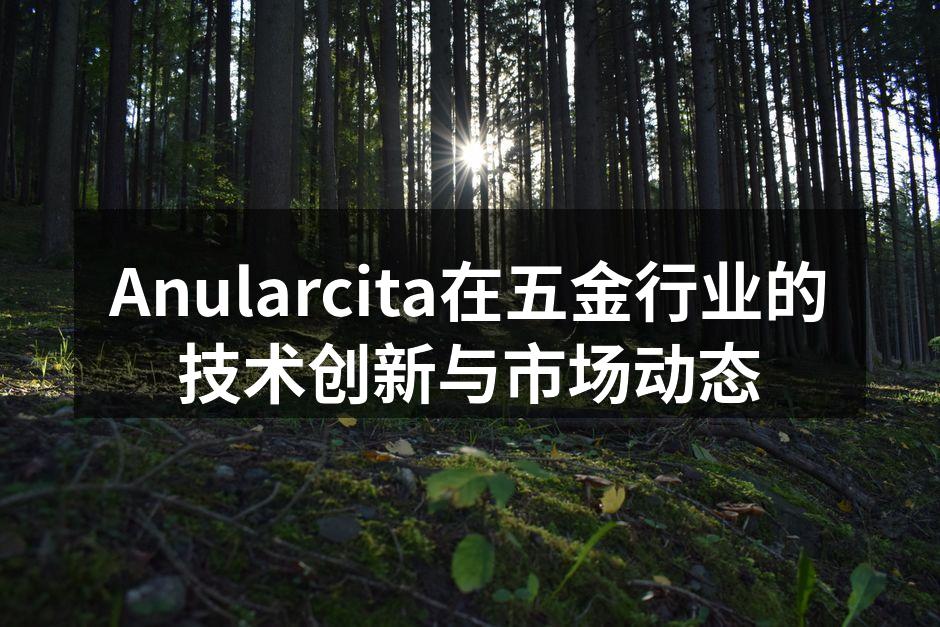 Anularcita在五金行业的技术创新与市场动态